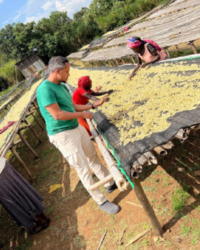 Coffee Export Division